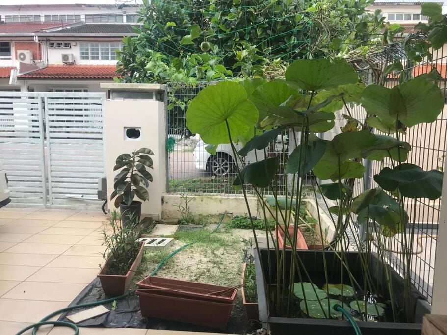 Terrace House Near Stulang Laut Ciq Midvalley Ksl For 7Pax Johor Bahru Kültér fotó
